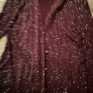 Sag Harbor Sparkling Plum Blouse